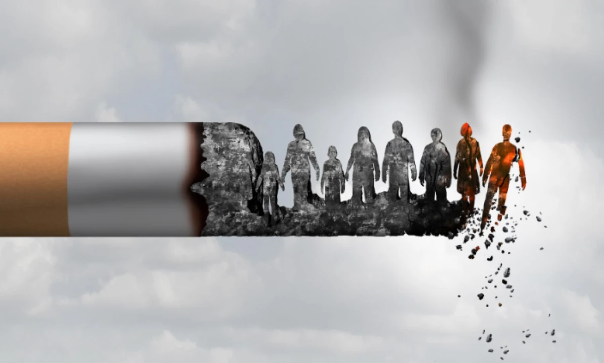 2009 Sonrası Doğanlara &Ouml;m&uuml;r Boyu Sigara Yasağı!