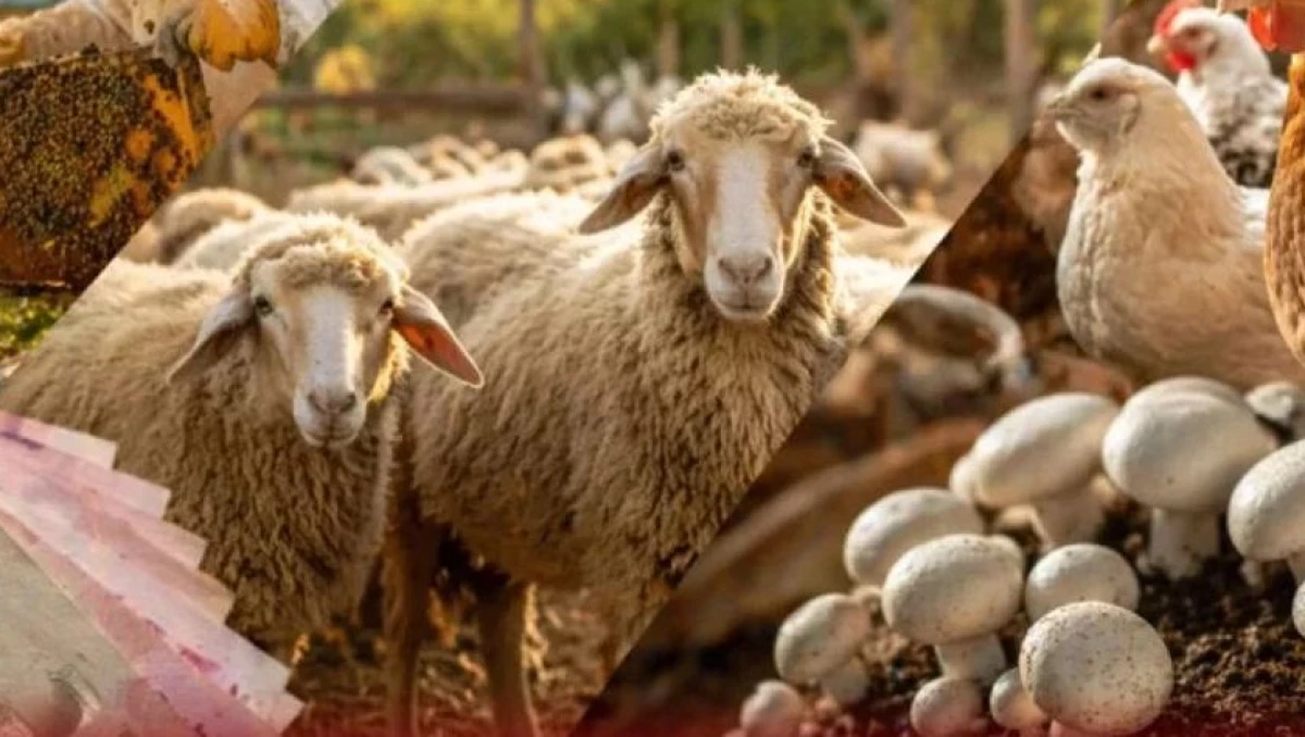 2026&rsquo;nın Yeni Destek Kalemleri