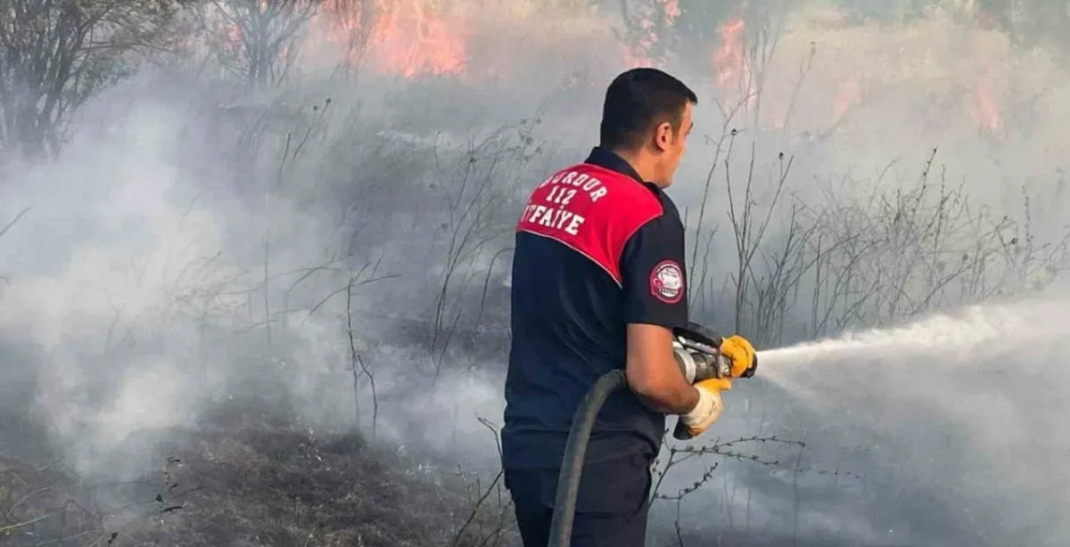 Ağaçlar ve sulama boruları da yandı 
