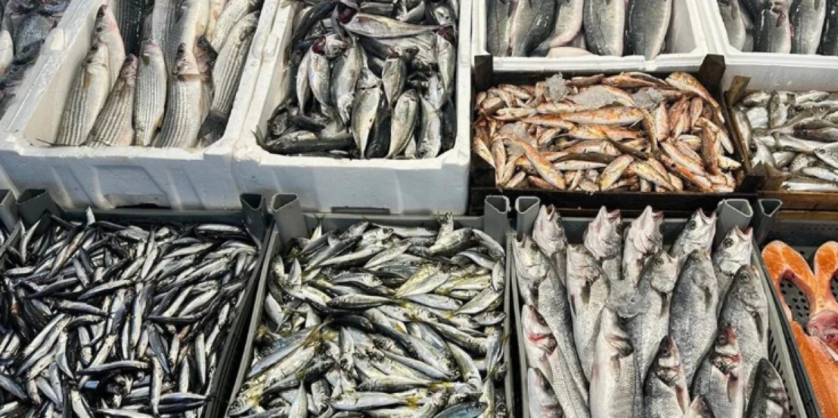 Alabalık D&uuml;zenli T&uuml;ketildiğinde Sağlığı Destekliyor