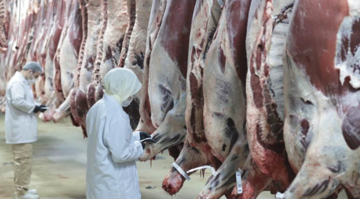 Ankara merkezli 8 ilde 'kırmızı et' operasyonu: 30 ş&uuml;pheli g&ouml;zaltına alındı