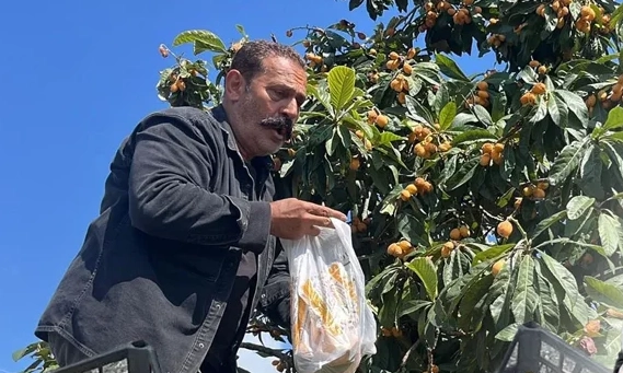 Antalya'da sosyal medyadan &ccedil;ağrıda bulundu: Dalında kalan yeni d&uuml;nyayı &uuml;cretsiz dağıttı!