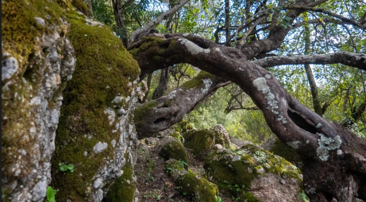 Antalya&rsquo;nın saklı cenneti: Kral Havuzu