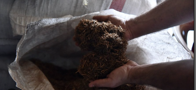 Bakanlık Sahte Çay Markalarını Açıkladı