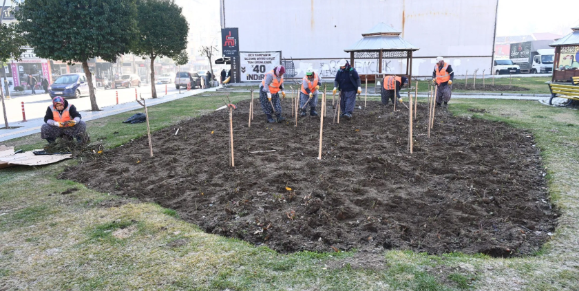 Binlerce fidan toprakla buluşturuluyor