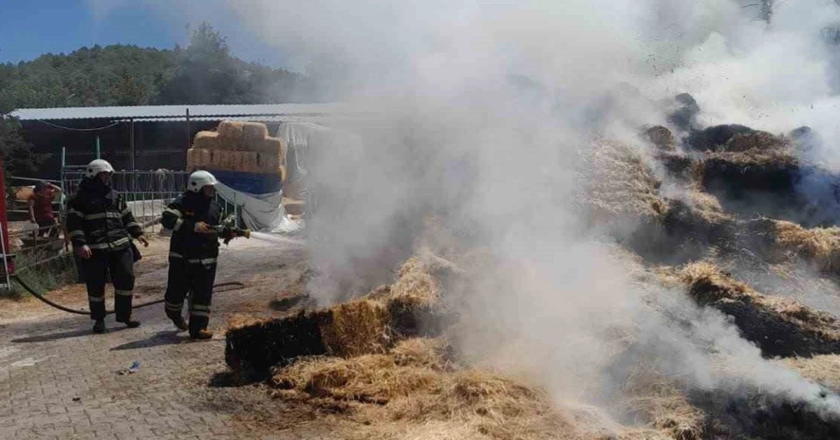 Burdur’da çıkan yangında 250 saman balyası kül oldu