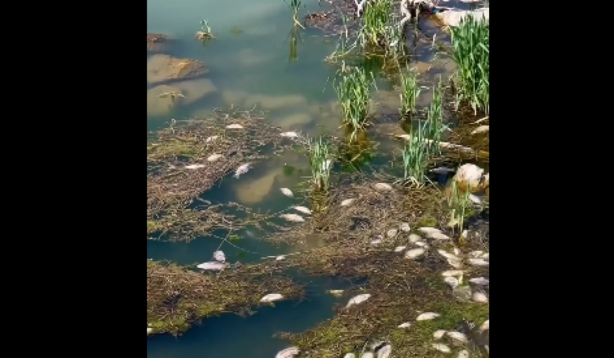 Eğirdir G&ouml;l&uuml;&rsquo;nde Korkutan Manzara