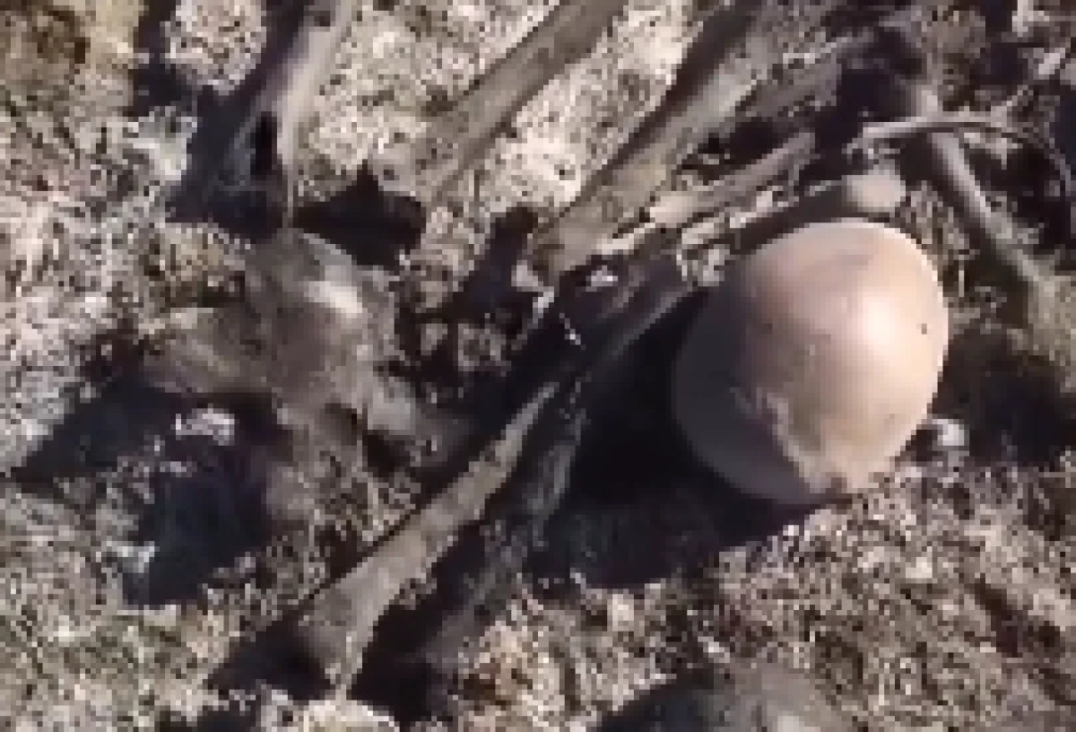 Eğirdir&rsquo;de Mezarlıklar Ve İskeletler Şaşkına &Ccedil;evirdi!