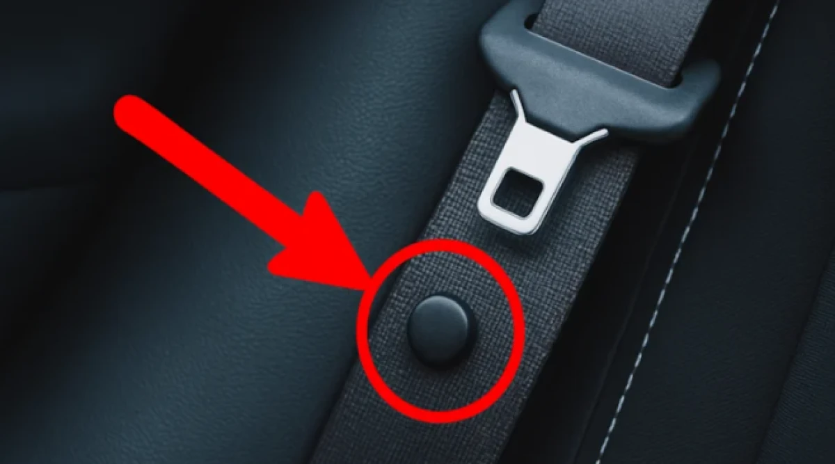 Emniyet kemerlerindeki siyah düğme meğer bu işe yarıyormuş