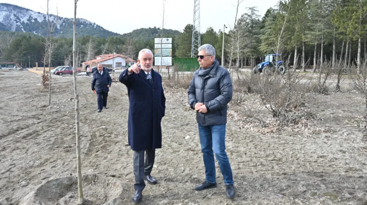 G&ouml;lc&uuml;k Tabiat Parkı&rsquo;nda &ccedil;eşit &ccedil;eşit fidanlar toprakla buluştu