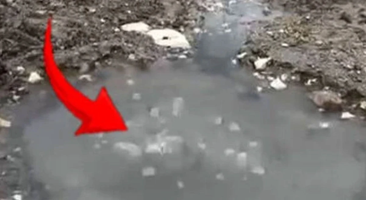 G&ouml;lc&uuml;k yakınlarında ilgin&ccedil; doğa olayı