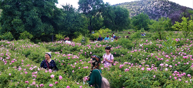 Isparta yerli ve yabancı turistlerin gözde rotası