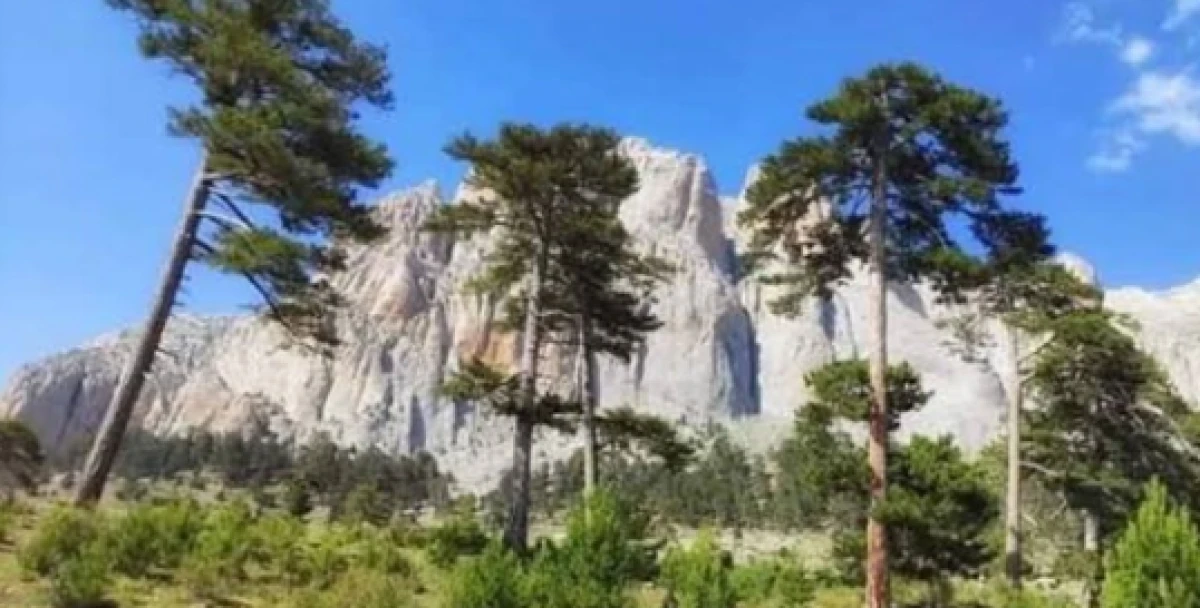 Isparta&rsquo;da Eğitim Sırasında Kaza Asker 8 Metreden D&uuml;şt&uuml;