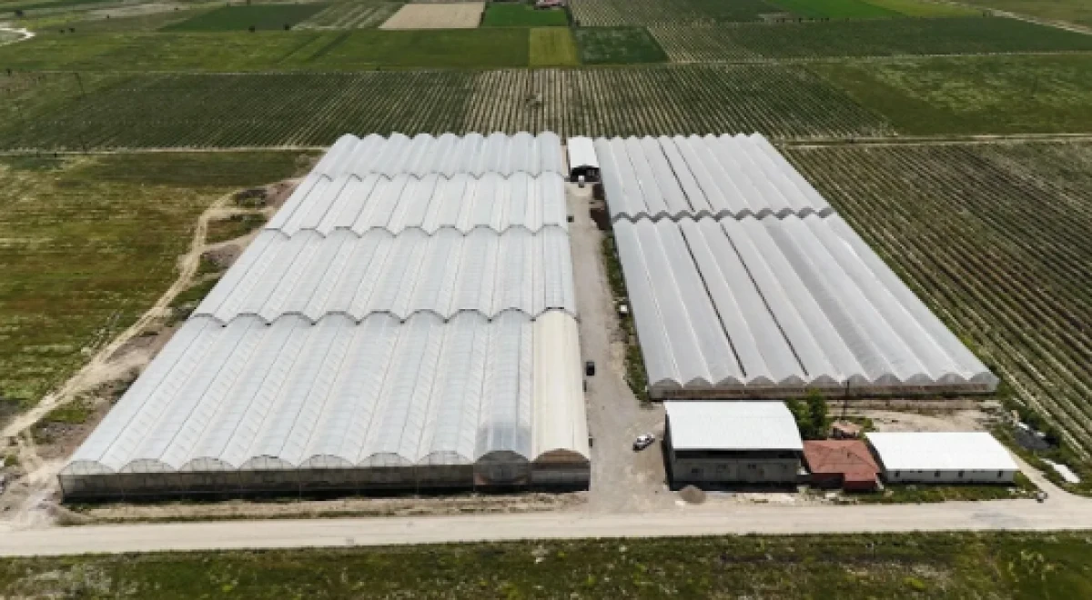 Iyaş, şimdi de tarım sektöründe