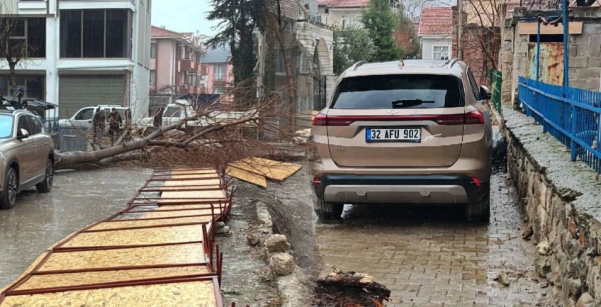 Kepeci Mahallesi&rsquo;nde Şiddetli Fırtına Ağacı devirdi