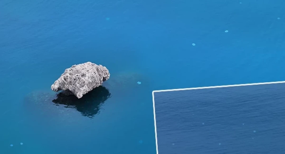 Kızıldeniz &uuml;zerinden Antalya kıyılarına geldi: S&uuml;r&uuml;ler halinde ge&ccedil;iş yapıyorlar! 'Hayatımda ilk defa b&ouml;yle bir şey başıma geldi'