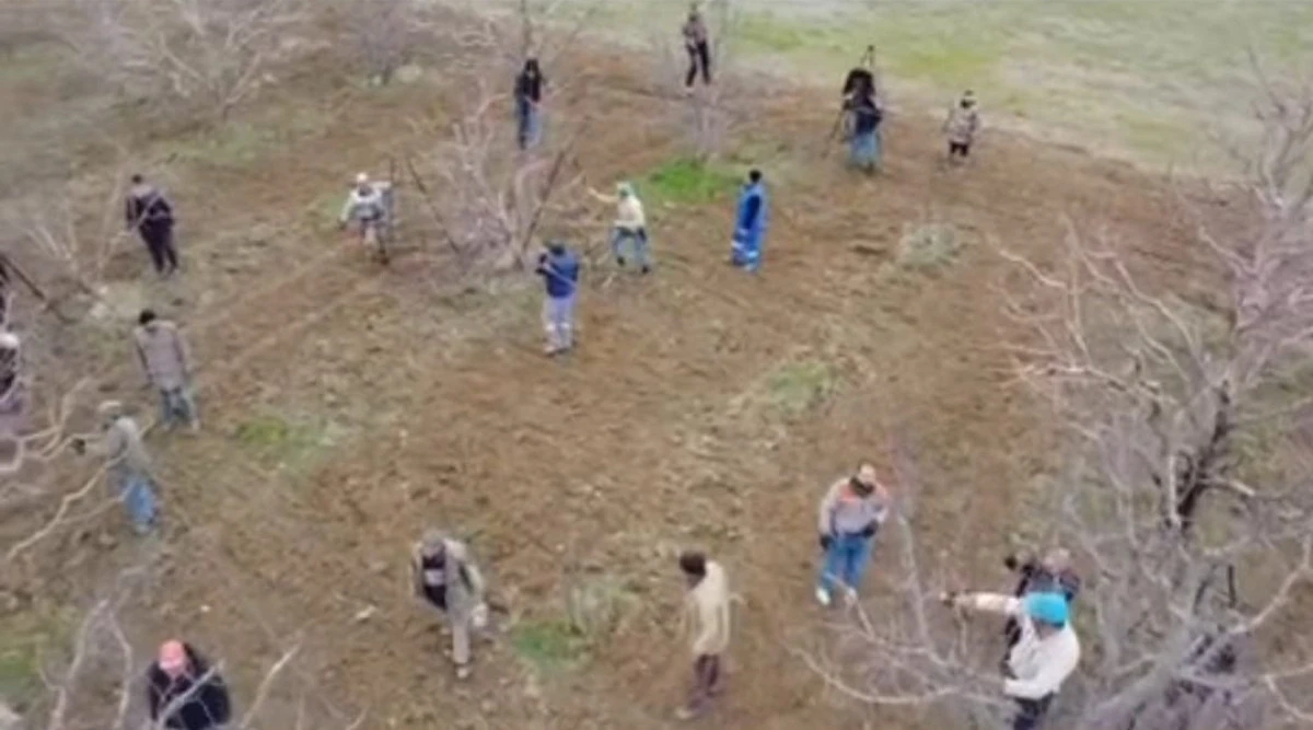 K&ouml;ke K&ouml;y&uuml;'nde &ouml;rnek davranış