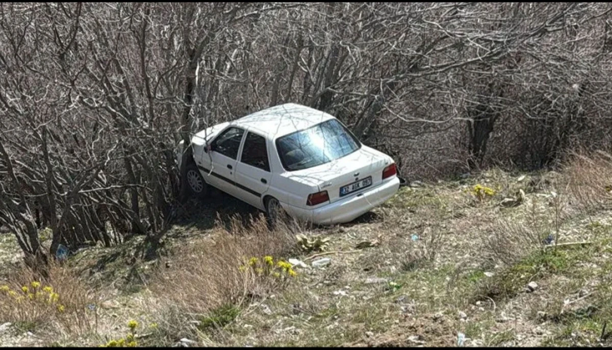 Otomobil şarampole u&ccedil;tu