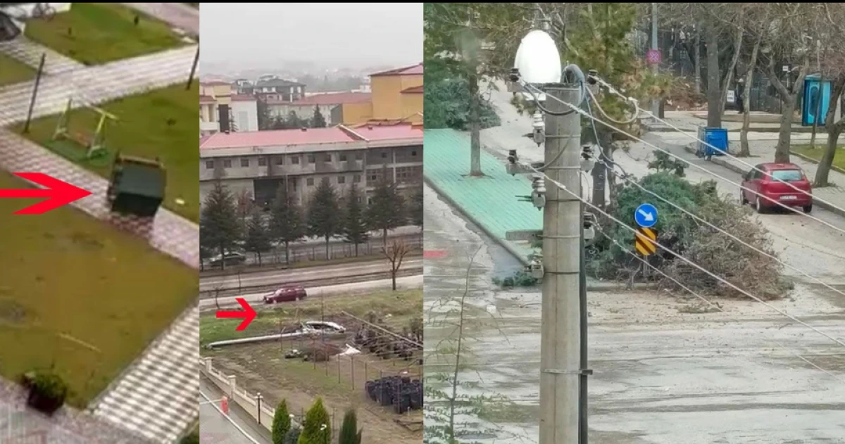 Şiddetli r&uuml;zgarda ağa&ccedil;lar devrildi kamelyalar u&ccedil;tu