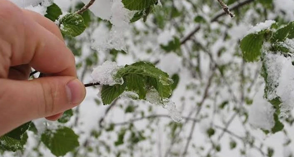 Tarım İl M&uuml;d&uuml;rl&uuml;ğ&uuml; uyardı