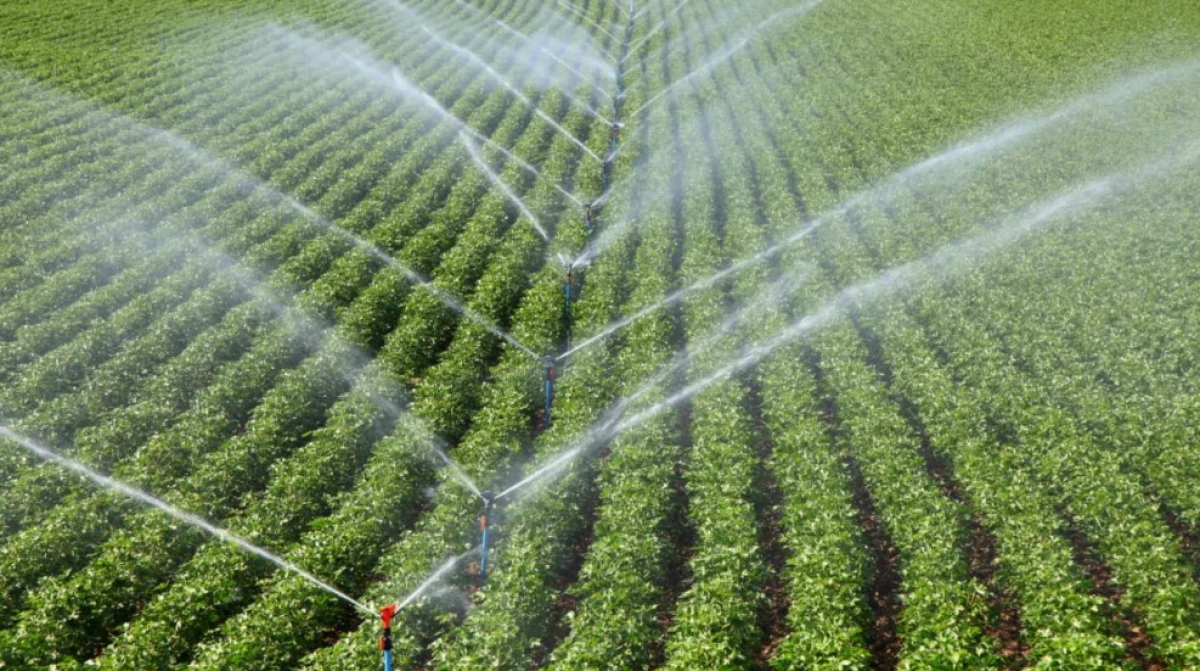 T&uuml;rkiye 117 &uuml;lkeye tohum ihra&ccedil; ediyor