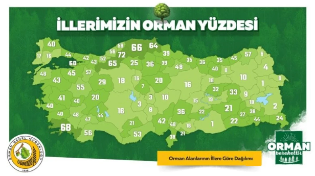 T&Uuml;RKİYE&rsquo;MİZİN NEFESİ ORMANLARIMIZ VE YEŞİL VATANIMIZ