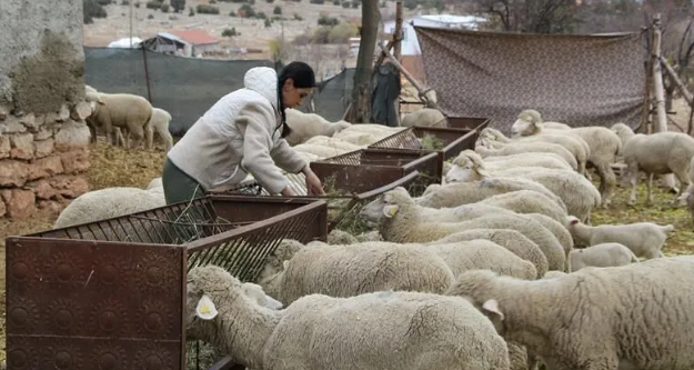 Uzman Eller Aile ve Bölge Ekonomisine Katkı Sağlıyor