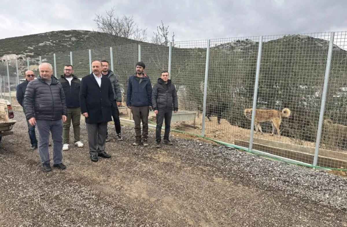 Vali Erin, sahipsiz hayvanlar merkezine gitti